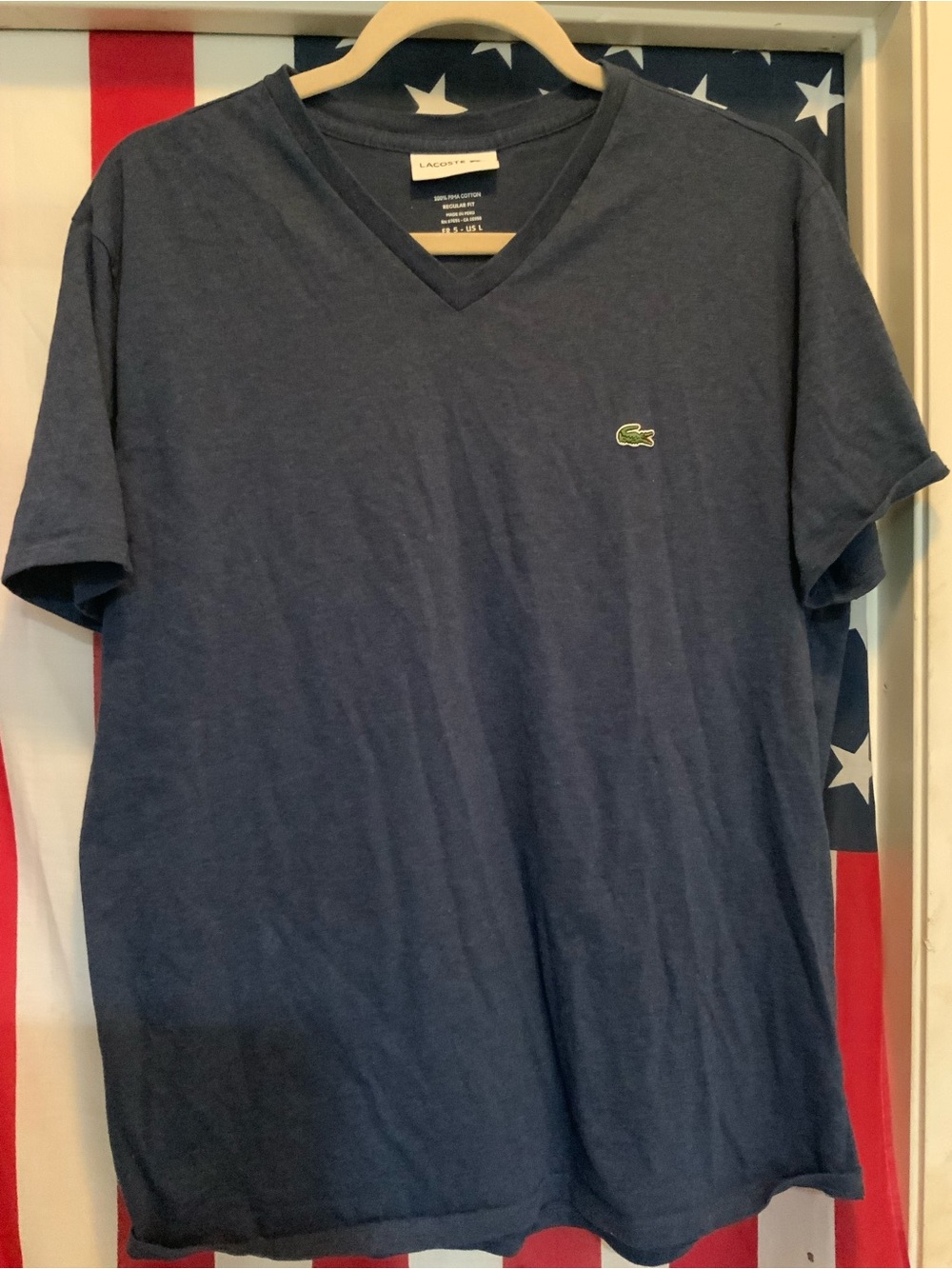 Lacoste Men's V-Neck Tee in Navy with Green Crocodile Logo